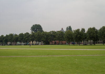 Field of dreams