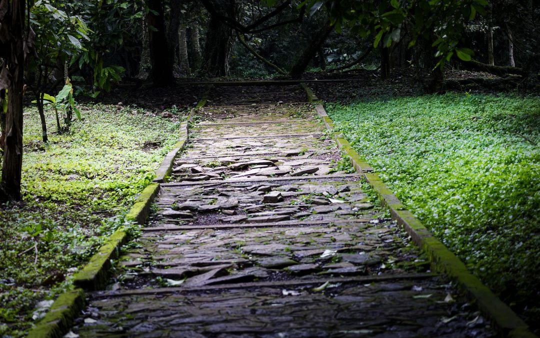 The invisible scorecard part 1: When your manager only sees your mistakes
