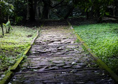 Aburi Botanical Garden