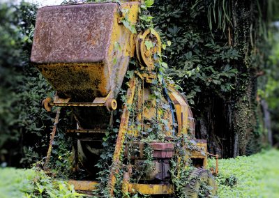 Aburi Botanical Garden