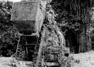 Aburi Botanical Garden