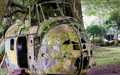 Knowledge sharing in the age of AI