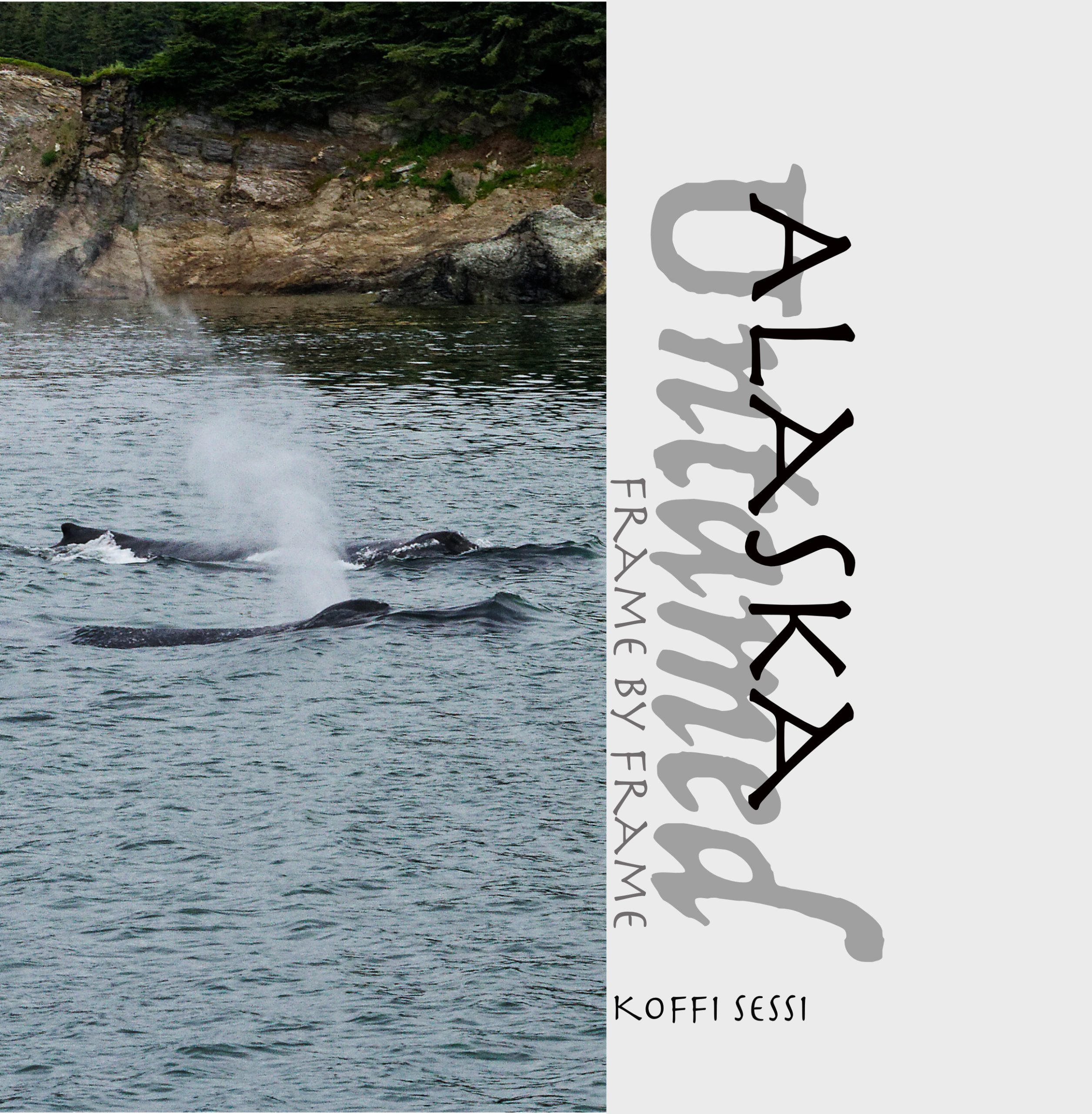 Alaska Untamed frame by frame