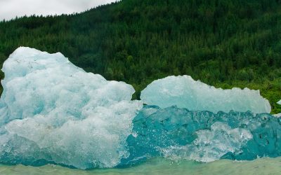 The silent evidence trap: when “we didn’t see it” becomes “it isn’t there”